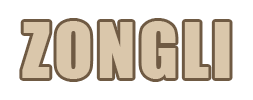ZONGLI TECHNOLOGY CO., LTD